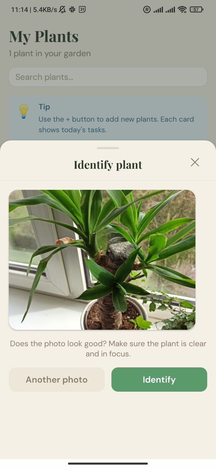 Plant identification result showing Yuca with 83% confidence